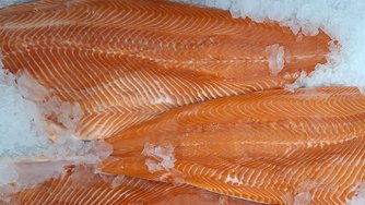  Trends unlocking opportunities in the European fish and seafood market 