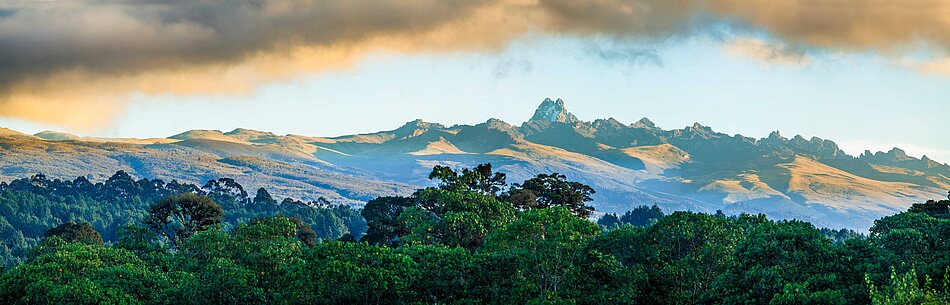 Export products from Kenya to Europe A Kenyan landscape with trees and mountains